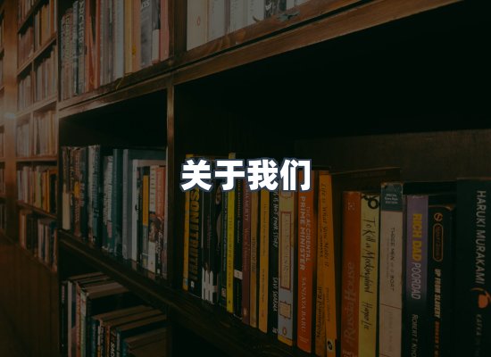专业团队
